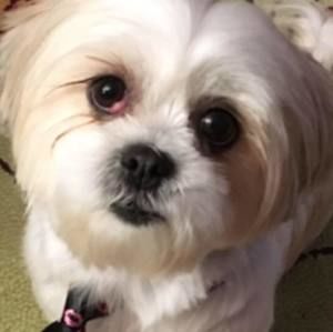 Meet your Posher, Rae